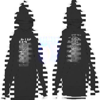 Huh Silly Cat Meme Oddly Bootleg Specific Dank Meme Hoodie | Mazezy