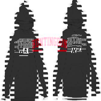 Huntingdon College Dad Father's Day Family Vintage Father Hoodie - Monsterry