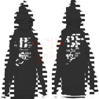 Ice Illegal Criminals Evicted Hoodie | Mazezy