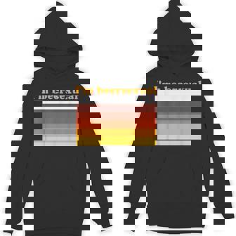 I'm Beersexual Beer Drinking Lgbtq Pride Hoodie | Mazezy