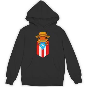 Jibaro Coqui Frog Puerto Rico Flag Boricua Pocket Borinquen Hoodie - Thegiftio UK