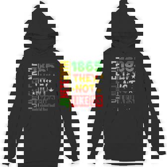 Junenth 1865 Pride Black History They Don't Like Us Hoodie - Thegiftio