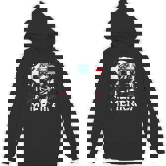 Labrador Retriever 4Th Of July Merica Patriotic Dog Hoodie | Mazezy