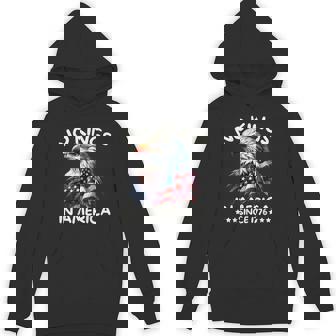 No Kings In America Since 1776 We The People Usa Flag Hoodie - Thegiftio