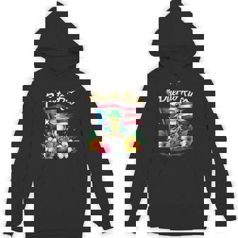 Hispanic Heritage Month Puerto Rico Coqui Frog Taino Symbol Hoodie - Monsterry