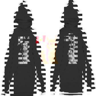 Peruvian Pride Alpaca Peruvian Roots Peruvian Flag Peru Hoodie - Monsterry