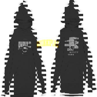 Quinnipiac Arch Vintage College Athletic Sports Hoodie | Mazezy