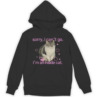 Sorry I Can’T Go I’M An Inside Cat Hoodie - Thegiftio UK