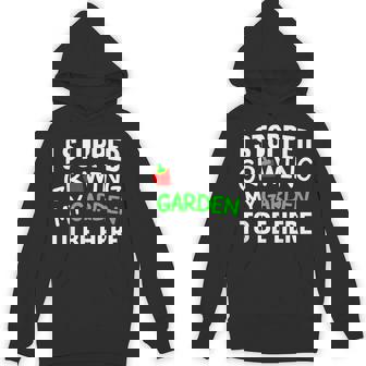 I Stopped Growing My Garden Back To School Gamer Hoodie - Thegiftio