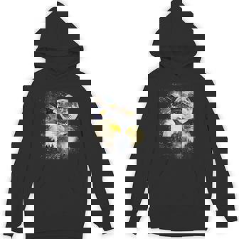 Three Bald Eagle Moon Meme American Bird Eagles Lover Hoodie - Monsterry