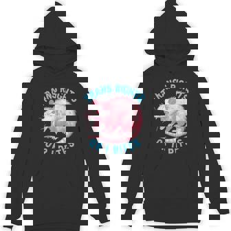 Trans Rights Or I Bites Possum Support Feminist Lgbtq Hoodie - Thegiftio