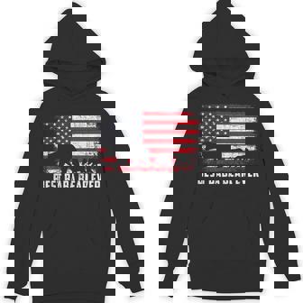 Usa Flag Best Baba Bear Ever Father's Day Hoodie - Thegiftio