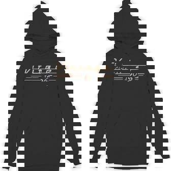 Vintage 60Th Birthday Decorations Vintage 1965 60 Years Old Hoodie - Thegiftio
