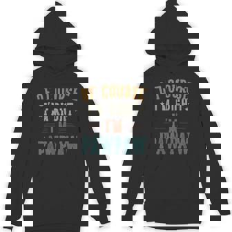 Vintage Of Course I'm Right I'm Pawpaw Father's Day Hoodie - Thegiftio