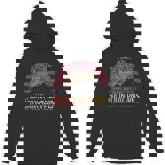 Vintage National Parks Camping Mountain Hiking Hoodie - Monsterry