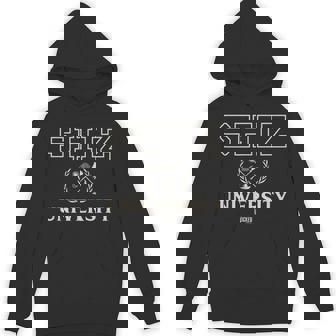 Wicked Shiz University Emblem Hoodie | Mazezy