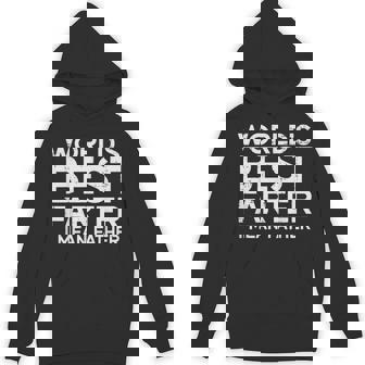 Worlds Best Farter I Mean Father Dad Daddy Papa Men Hoodie - Thegiftio UK