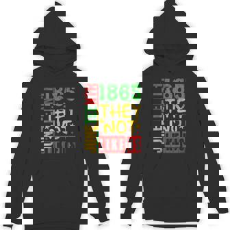 They Don't Like Us Junenth 1865 Pride Hoodie | Mazezy