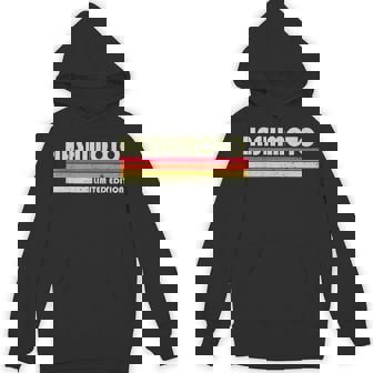 【橋本 橋元 はしもと】名前 名字 家族お揃い ギャグ ネタ ウケ狙い 贈り物 ギフト 面白い おもしろ Hoodie - Kawaiitshirt