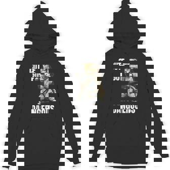 かわいいけど危険な空手 面白い テコンドー 猫 格闘技 パーカー - Kawaiitshirt