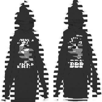 アイム・ジャスト・ア・ペブル・ダンディーズ・ワールド パーカー - Kawaiitshirt