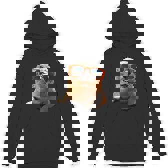 サングラスをかけたアザラシ かわいいアザラシ パーカー - Kawaiitshirt