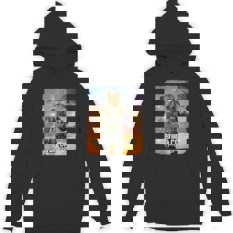 トップ 猫 マーベリック パロディ アクション 映画 叙事詩 レトロ パーカー - Kawaiitshirt