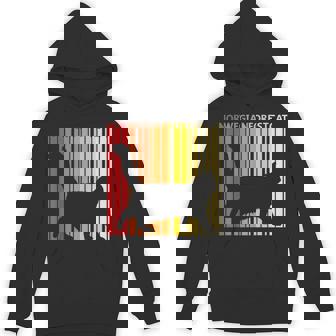 ノルウェージャンフォレストキャット 猫の所有者の贈り物 パーカー - Kawaiitshirt