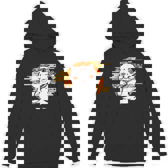 三味線で遊ぶ猫 Hoodie - Kawaiitshirt