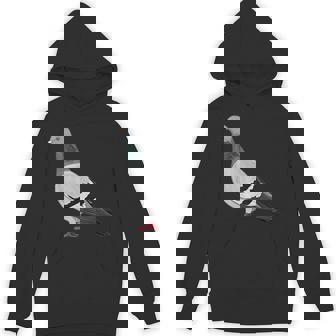 伝書鳩 鳥 動物 図 バードウォッチング 贈り物 鳥類学者 パーカー - Kawaiitshirt