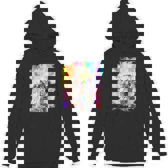 愛のハートのメガネをかけているレインボーコアラ Hoodie - Kawaiitshirt