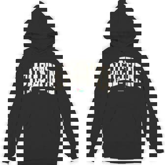 無料のパレスチナ大学代表チームフォント パレスチナの国旗を保存 パーカー - Kawaiitshirt