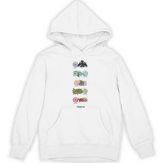 Dreamworks Dragons Dragon Color Class Hoodie - Thegiftio UK