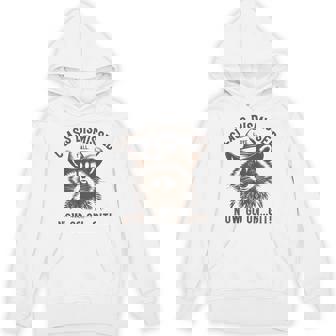 Raccoon Class Dismissed Now Go On Git Fun Last Day Of School Hoodie | Mazezy