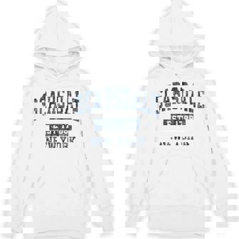 Scarsdale New York Ny ビンテージスポーツデザイン ネイビー パーカー - Kawaiitshirt