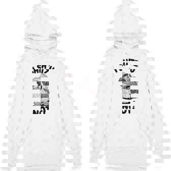 I Shih Tzu Not Hilarious Dog Lover's Pun Hoodie - Monsterry