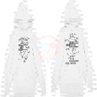 Stars Stripes And Equal Rights Eagle Usa Flag 4Th Of July Hoodie - Monsterry