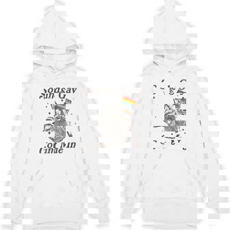 Vintage Sounds Gay Count Me In Racoon Lgbt Lgbtq Pride Month Hoodie - Monsterry