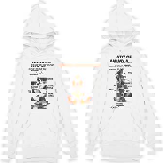 かわいい犬の説明 バーニーズ・マウンテン・ドッグの解剖学 パーカー - Kawaiitshirt