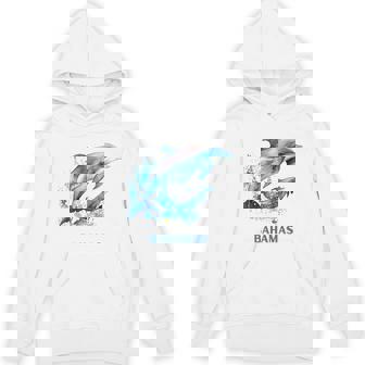 ドルフィン バケーション ヴィンテージ バハマ ビーチ デスティネーション パーカー - Kawaiitshirt