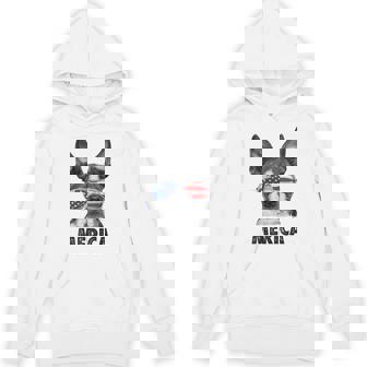 ボストン・テリア 7月4日 メリカ メンズ レディース アメリカ国旗 パーカー - Kawaiitshirt