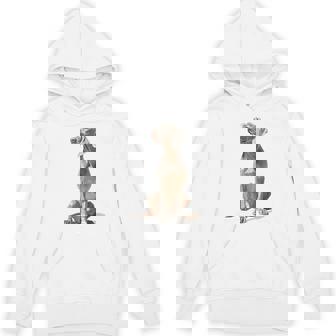 ワイマラナー 犬 グラフィック ペット イラスト ワイマラナー パーカー - Kawaiitshirt