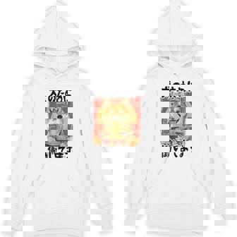 面白いtシャツ 柴犬 イヌ わんこ メンズ 犬好き グッズ おもしろ 面白い 服 ネタ わんこ シバイヌ パーカー - Kawaiitshirt