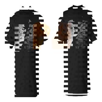 2匹の猫がミームを話す 長袖tシャツ Tシャツ - Kawaiitshirt