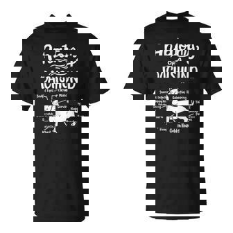 Anatomía De Un Perroalchicha Camiseta unisex - Regaloses