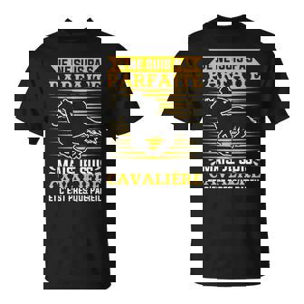 Je Neuis Pas Parfaite Equitation Cheval Homme Cadeau T-Shirt - Cadeauxyz