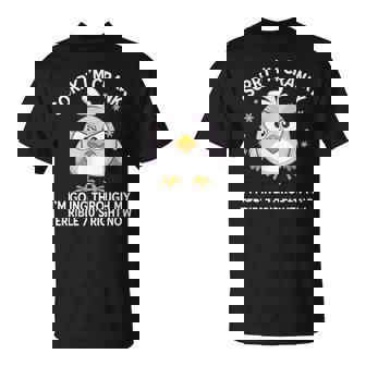 Sorry I'm Cranky I'm Going Through My Terrible 70’S Right T-Shirt | Mazezy