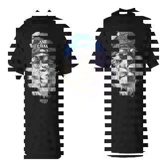 Touchdown American Football Game Day Lion Sunglasses Cool T-Shirt - Thegiftio