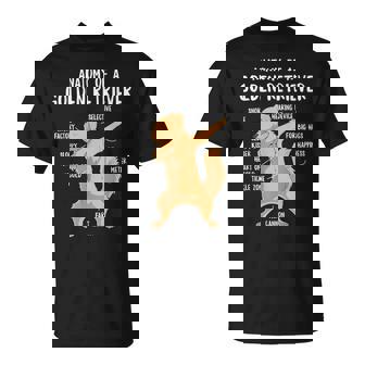 アナトミー・オブ・ア・ゴールデン・レトリバー 犬 オーナー 子犬 面白い キュート Tシャツ - Kawaiitshirt