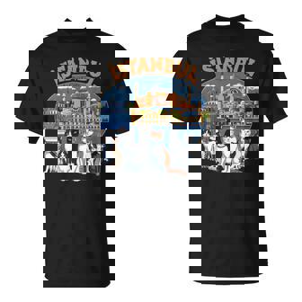 イスタンブール 猫の街 トルコ土産 トルコ猫好きギフト Tシャツ - Kawaiitshirt